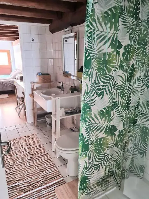 Duplex Atypique Loft Lyon 6 Appartement