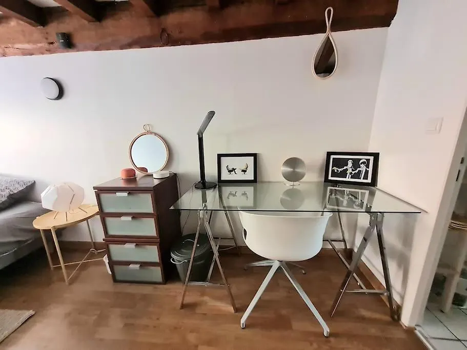 Duplex Atypique Loft Lyon 6 Appartement