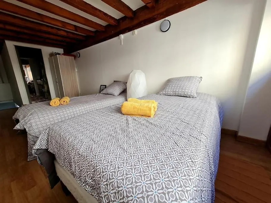 Duplex Atypique Loft Lyon 6 Appartement